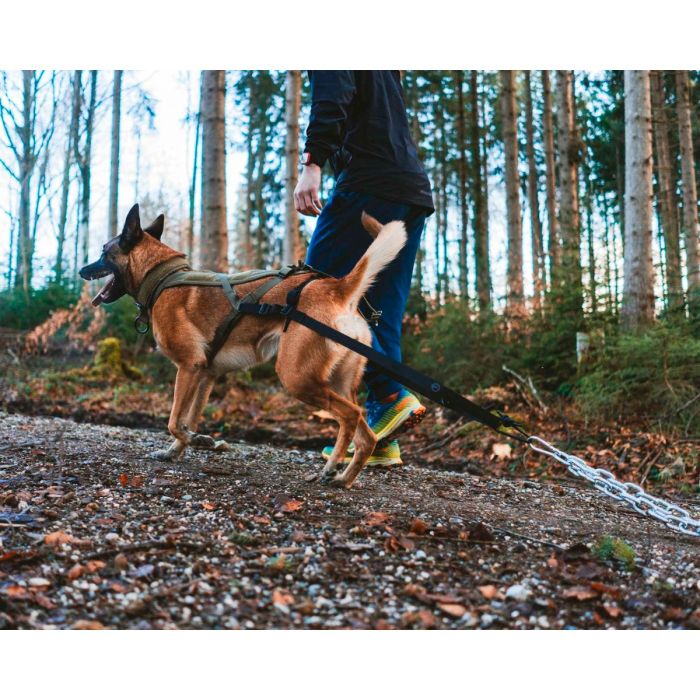 Non-stop dogwear Pulling Attachment WD