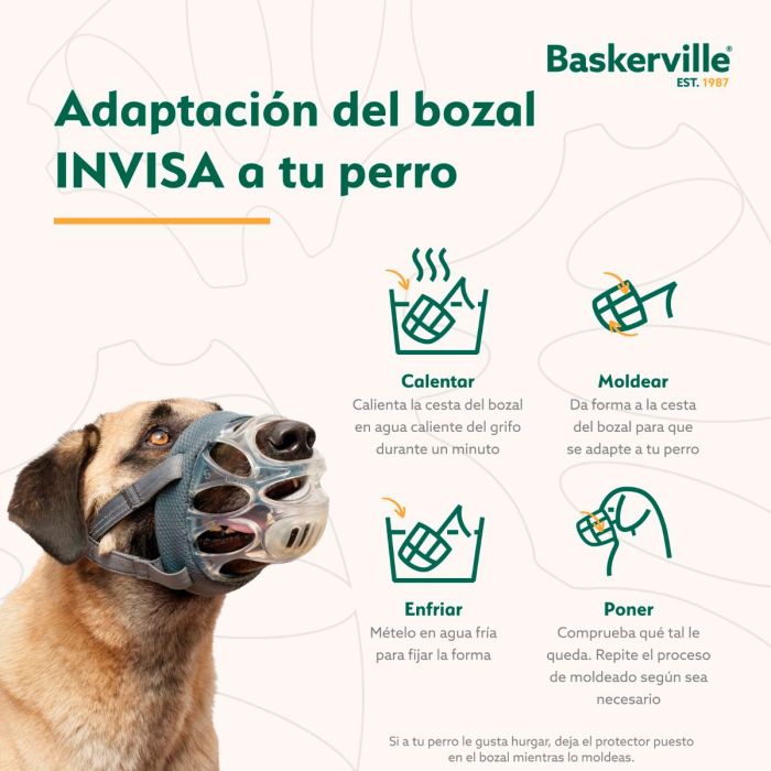 Company of Animals Bozal Baskerville INVISA