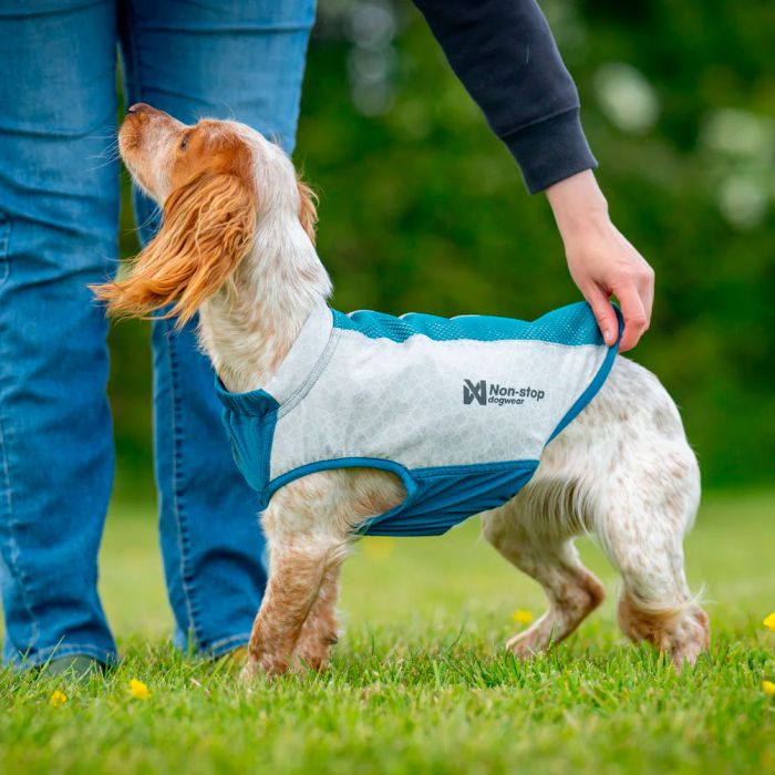 Non-stop dogwear Chaleco refrescante Cooling pull-on
