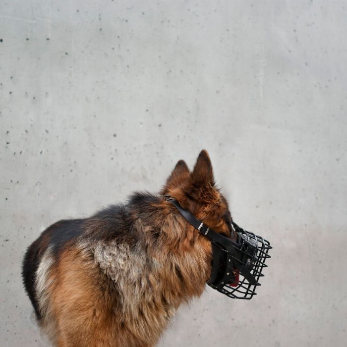 Dingo Gear Bozal fisiológico K9 para Pastor Alemán