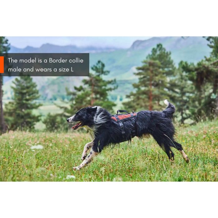Non-stop dogwear Rock Harness Long