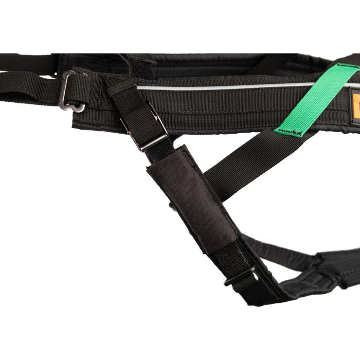 Non-stop dogwear Freemotion