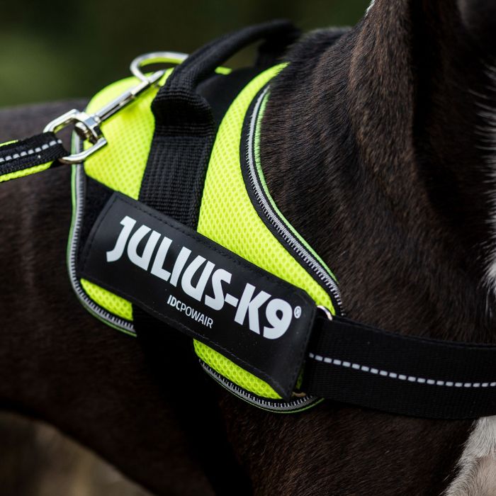 Julius-K9 Arnés IDC Powair summer neon