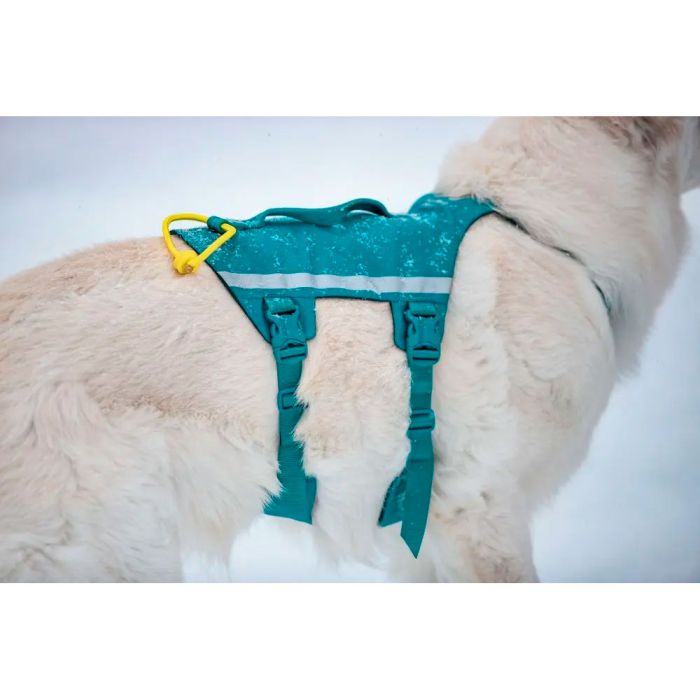 Non-stop Ramble harness long