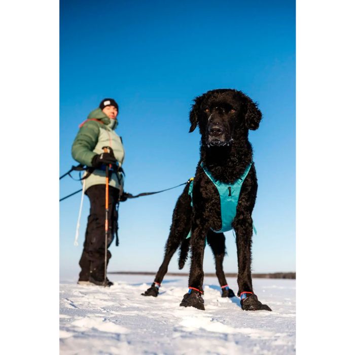Non-stop Ramble harness long