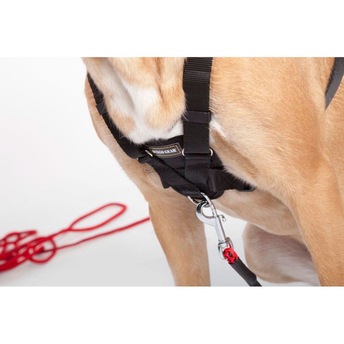 Dingo Gear Arnés WEDA para rastro