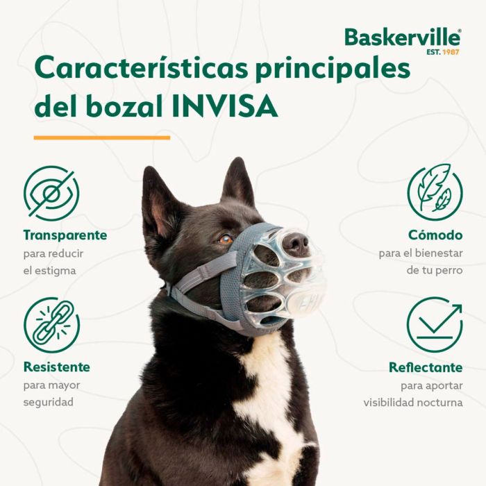 Company of Animals Bozal Baskerville INVISA