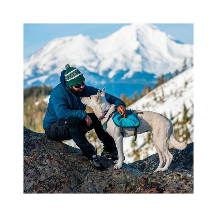 Kurgo Baxter Dog Backpack