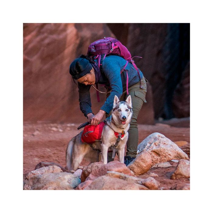 Kurgo Baxter Dog Backpack