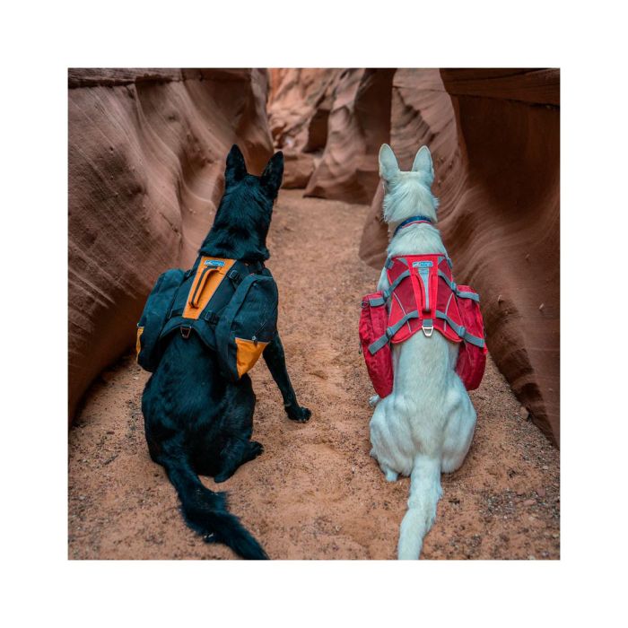 Kurgo Baxter Dog Backpack