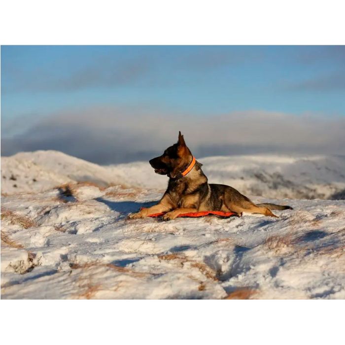 Non-stop dogwear Protector bivvy bed