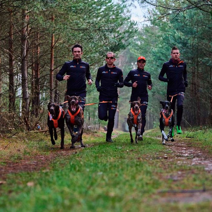 Non-stop dogwear Canix Belt Pro