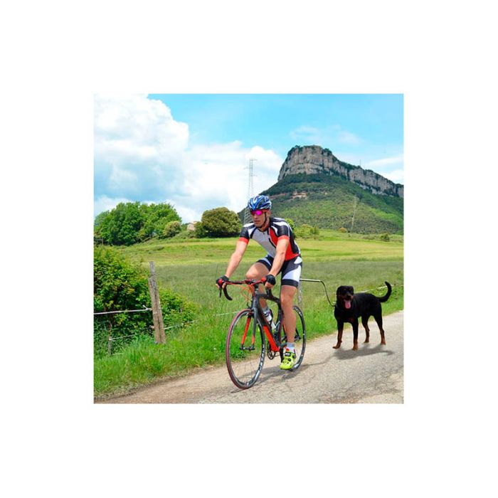 Ibáñez DogCycle correa elástica con enganche para bicicleta