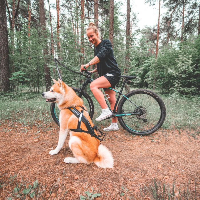 Non-stop dogwear Bike antenna