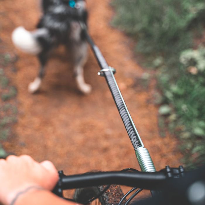 Non-stop dogwear Bike antenna