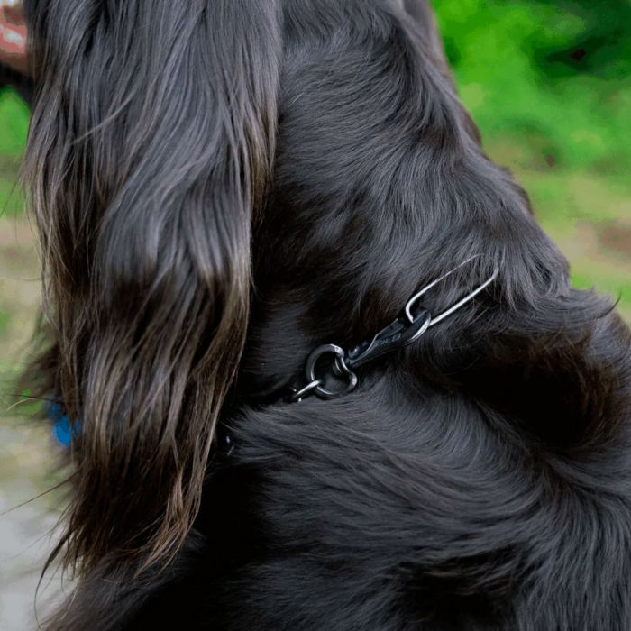 HS Sprenger Collar eslabón largo ajustable de acero inoxidable negro 3 mm
