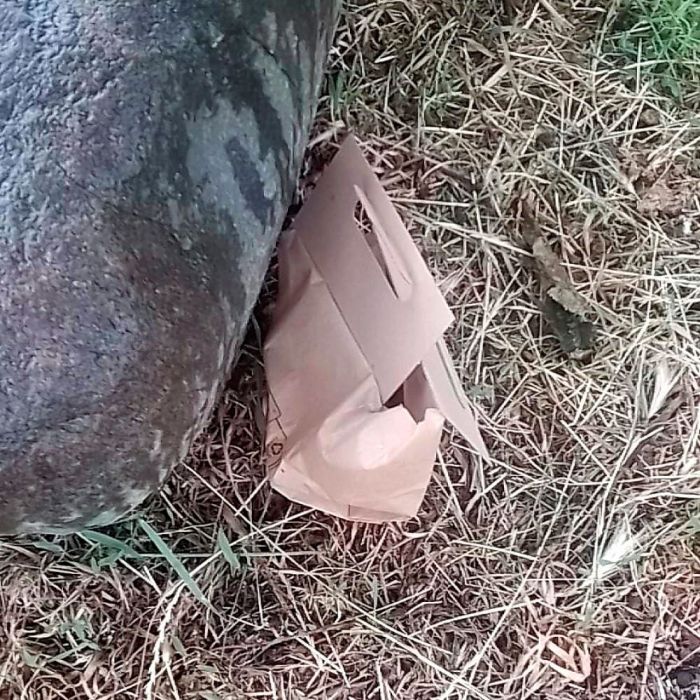Dingo Bolsas de papel para excrementos 10 unidades
