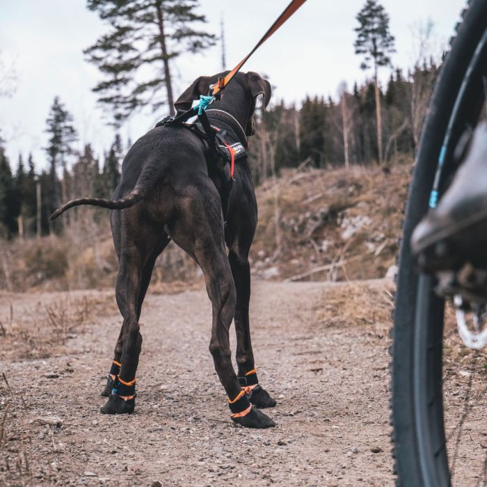 Non-stop dogwear Protector booties