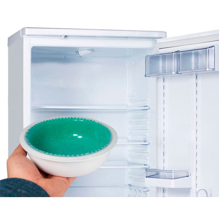 Nayeco Bebedero Ice Bowl