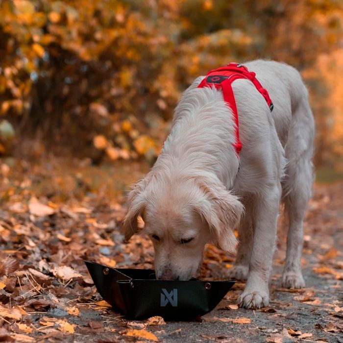 Non-stop dogwear Trekking Bowl