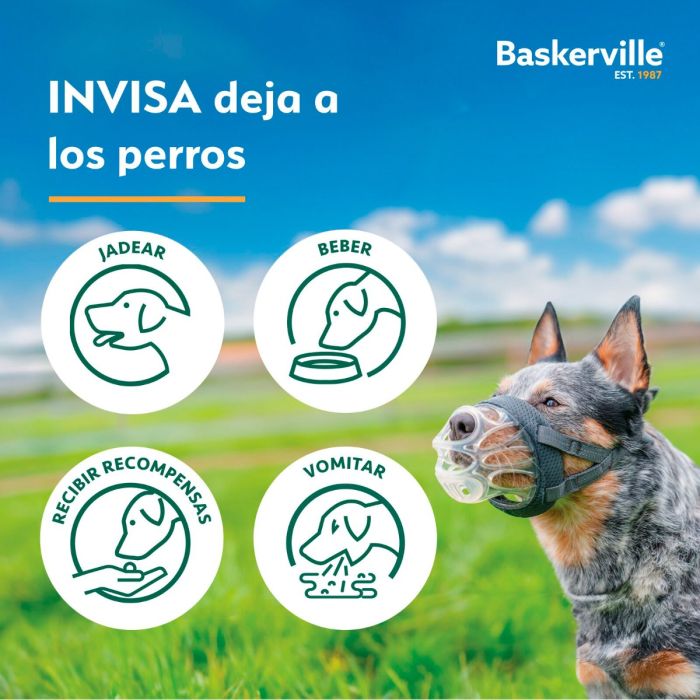 Company of Animals Bozal Baskerville INVISA