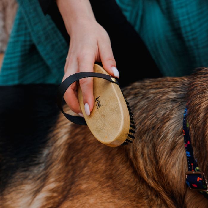 Dingo Cepillo de madera con cerdas de latón