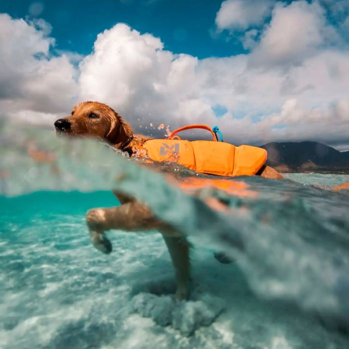 Non-stop dogwear Protector Life Jacket