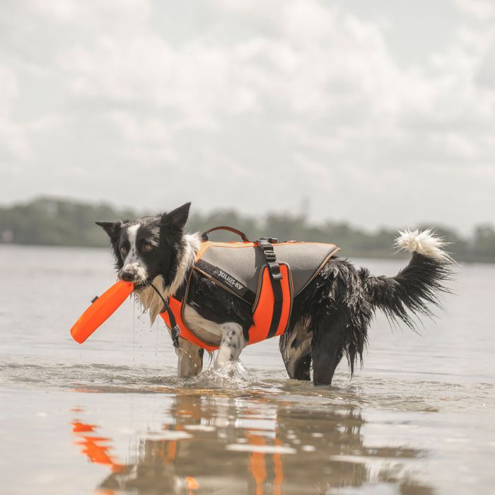 Julius-K9 Multivest