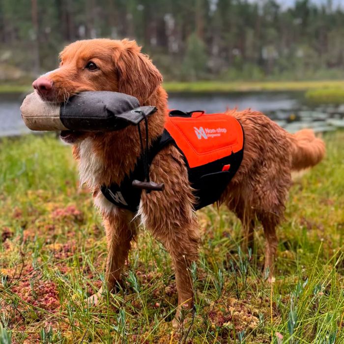 Non-stop dogwear Protector neoprene vest