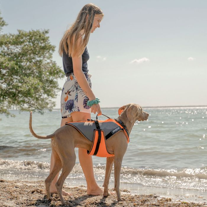 Julius-K9 Multivest