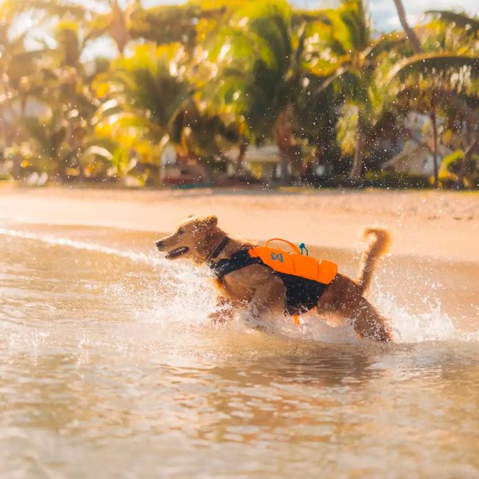 Non-stop dogwear Protector Life Jacket