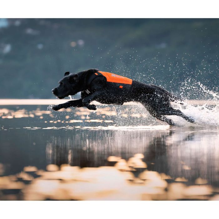 Non-stop dogwear Protector neoprene vest