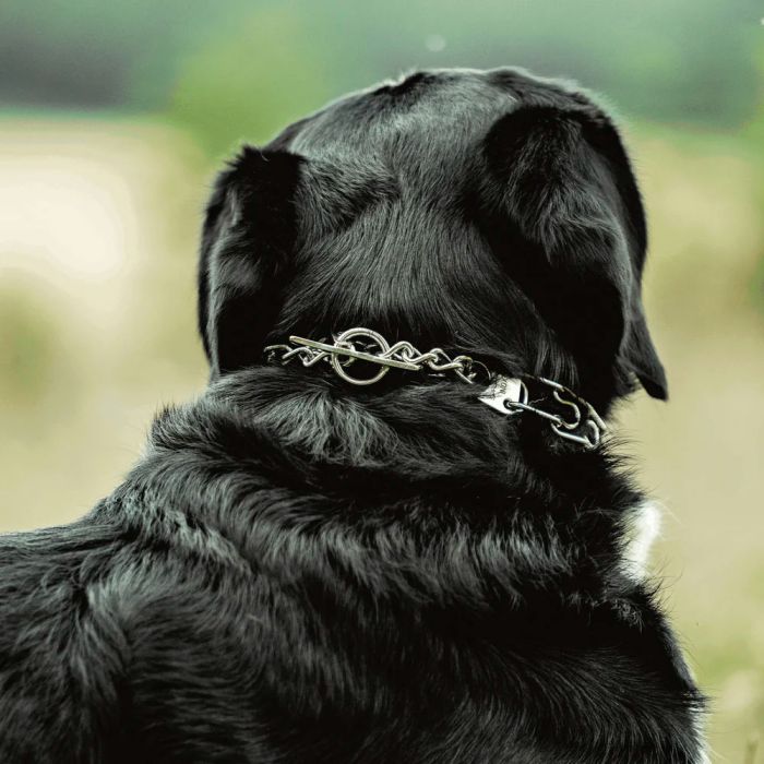 HS Sprenger Collar Ultra-Plus con Whale Tail acero inoxidable 3 mm x 50 cm