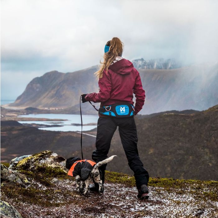Non-stop dogwear Ferd Belt
