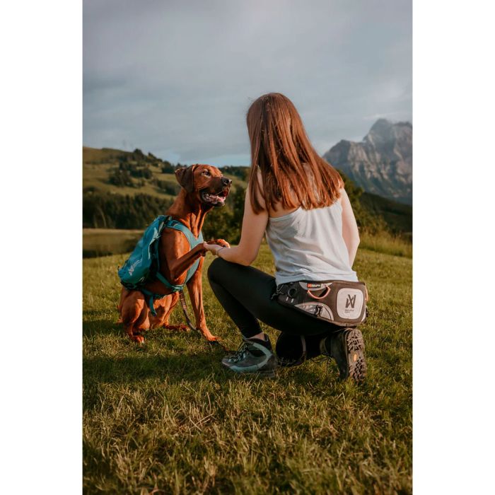 Non-stop dogwear Explore belt