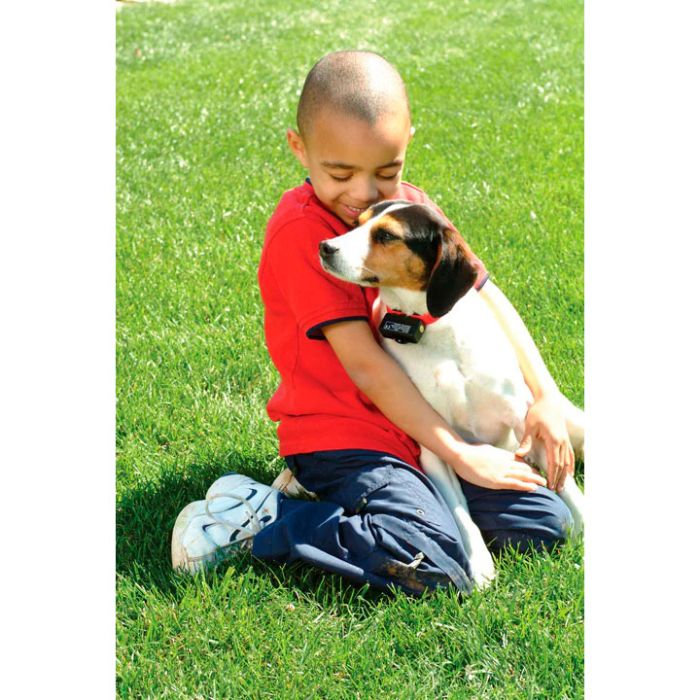 PetSafe Collar antiladridos