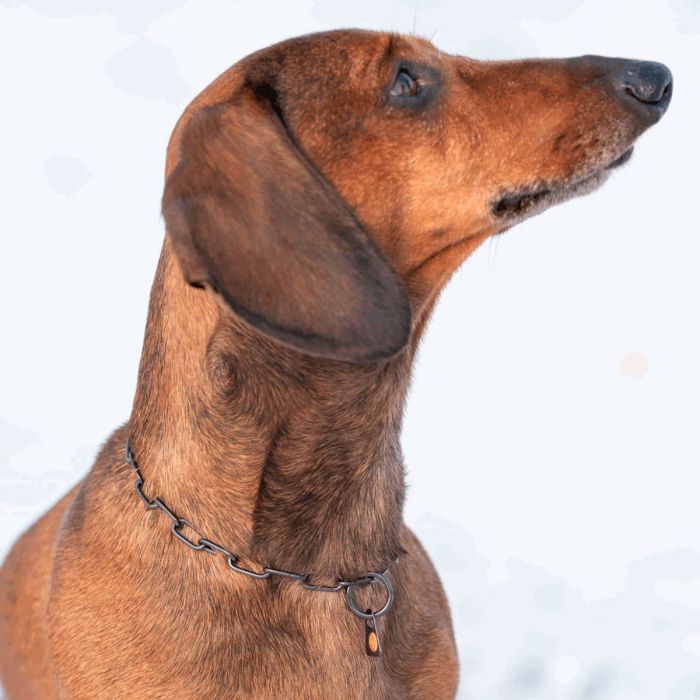 HS Sprenger Collar eslabón largo ajustable de acero inoxidable 2 mm