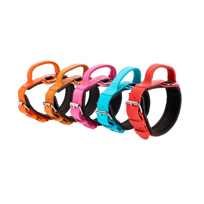 Dingo Gear Collar Drago rojo con asa 50 mm