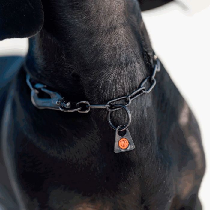 HS Sprenger Collar eslabón largo ajustable de acero inoxidable 2 mm