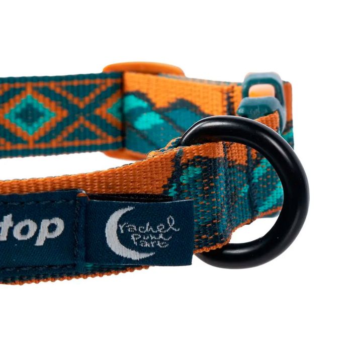 Non-stop dogwear Trail Quest Collar Rachel Pohl Edition turquesa roble