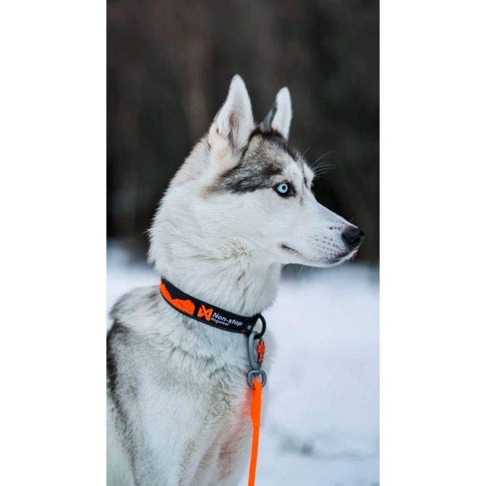 Non-stop dogwear Trail Quest Collar naranja