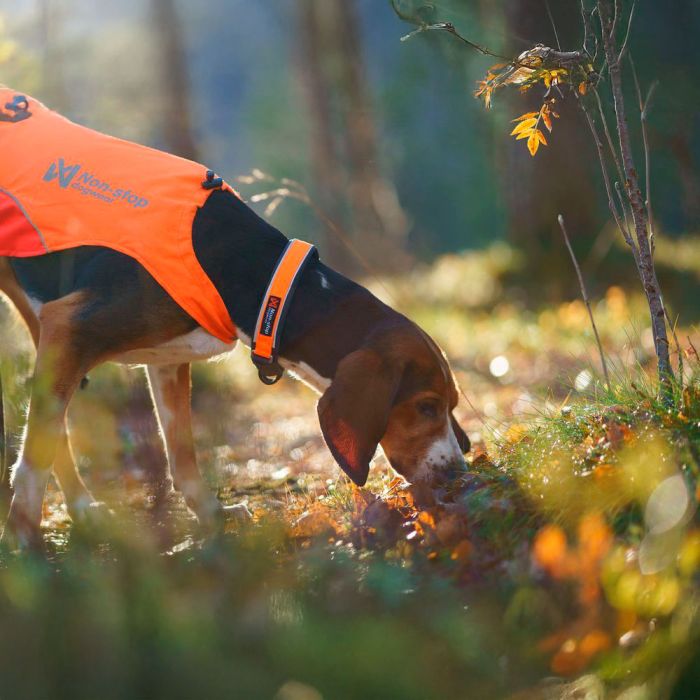 Non-stop dogwear Protector collar