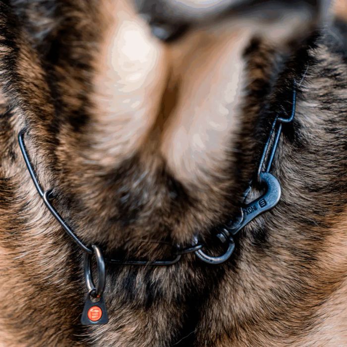 HS Sprenger Collar eslabón largo ajustable de acero inoxidable negro 3 mm
