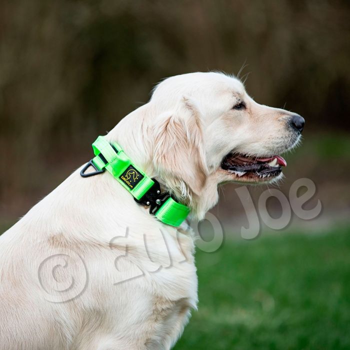 Euro Joe Collar táctico verde con asa 38 mm