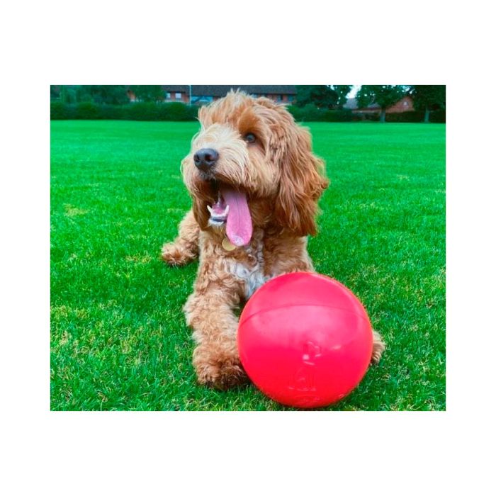 Company of Animals Boomer Ball