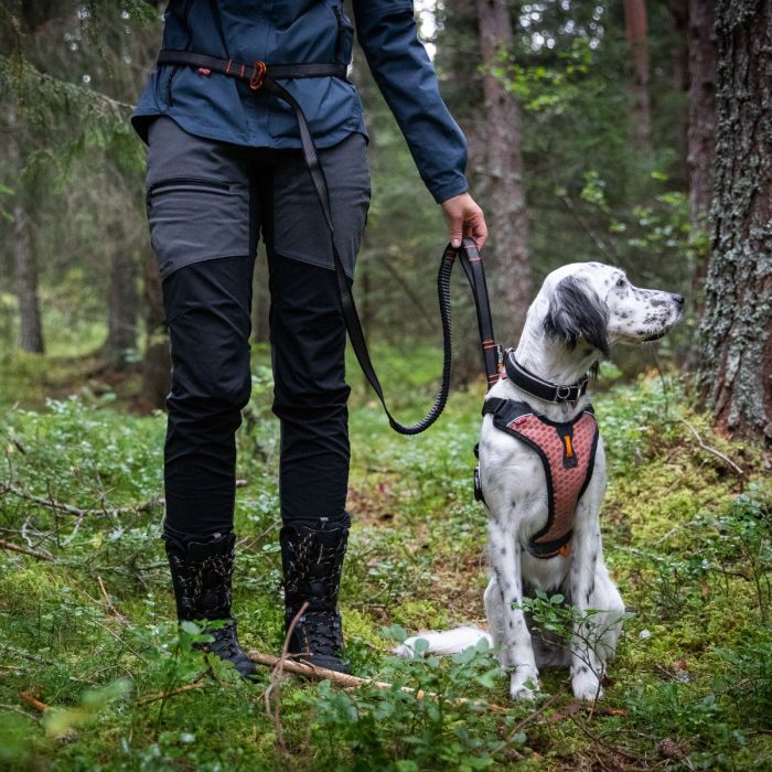 Non-stop dogwear Touring bungee ajustable