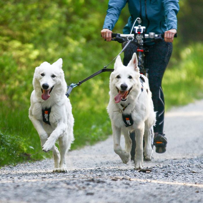 Non-stop dogwear Touring Double 23 mm