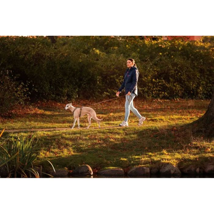 Non-stop dogwear Trail quest leash Rachel Pohl edition turquesa roble 15 mm x 2 m