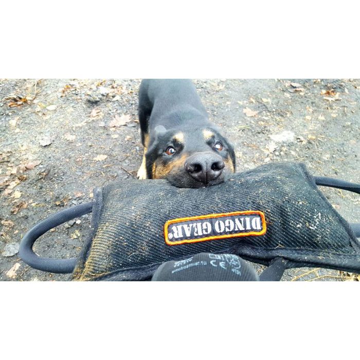 Dingo Gear Corrector de mordida reforzado de tela francesa