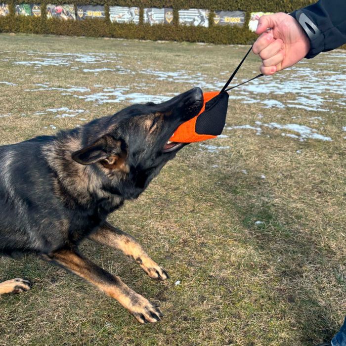 Dingo Gear Pelota cúbica de tela francesa 10 cm